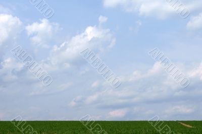 Blue sky and field
