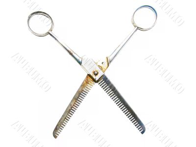 Old rusty scissors isolated on white background