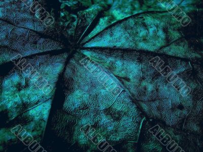 Fantasy grange background from maple leaf
