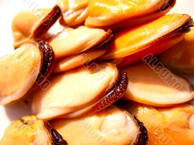 Mussels