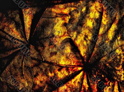 Fantasy grange background from maple leaf