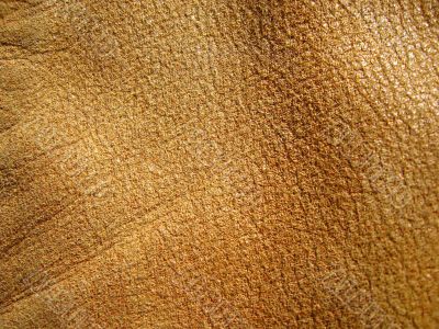 Brown leather texture