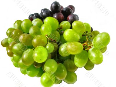 Bunch of white and red grape close-up.