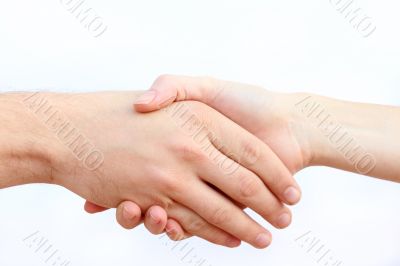 Handshake 