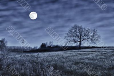 Night scene