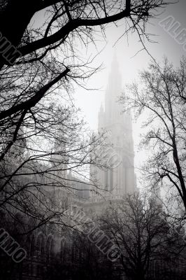 Tree in front of the city hall building of Vienna, Austria