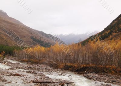 Sullen autumn mountain landscape