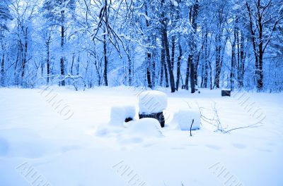 winter snow storm in a forest