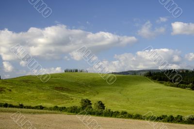 Hills in spring