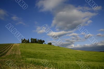 Spring in Tuscany