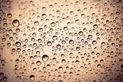 Rain water drops