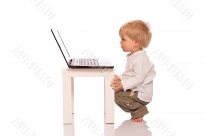 Young boy looking at a laptop
