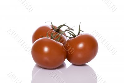 Tomatoes