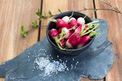 Radish in bowl