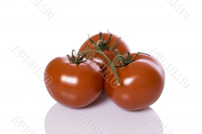 Tomatoes