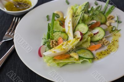 Salad of spring vegetables
