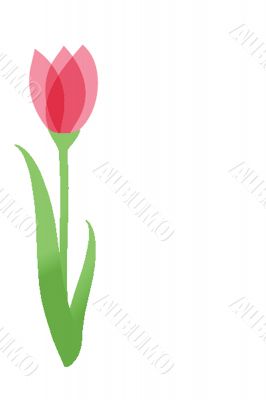 Decorative background with Tulips flowers