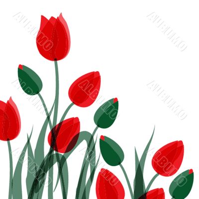 Decorative background with Tulips flowers