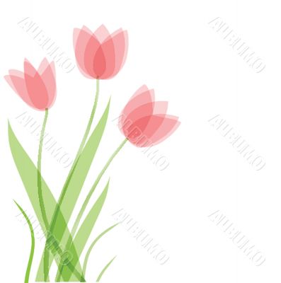 Decorative background with Tulips flowers