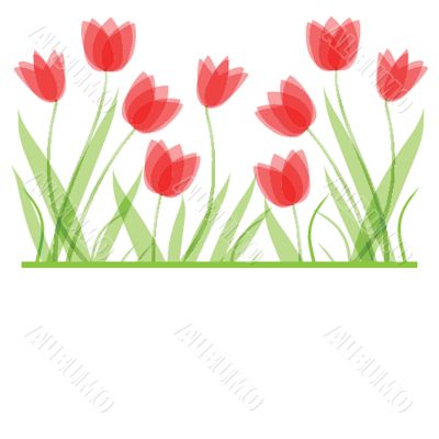 Decorative background with Tulips flowers