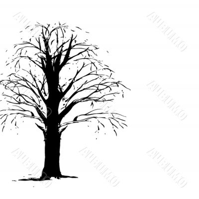 Illustration of beautiful spring background