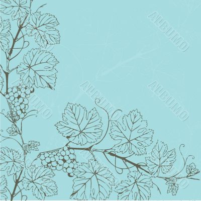 Vintage vector illustration with grape branch