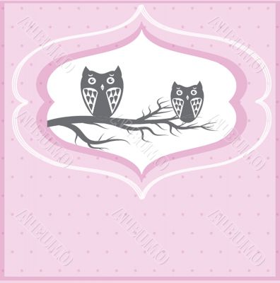 Two cute owls on the tree branch