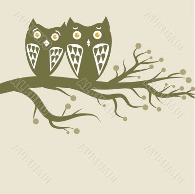 Two cute owls on the tree branch