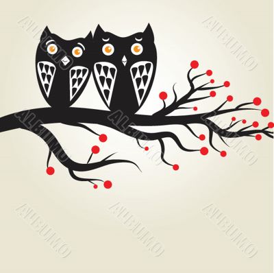 Two cute owls on the tree branch