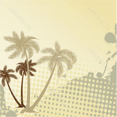 Summer background with grunge beach palms