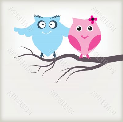 Two cute owls on the tree branch