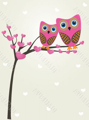 Two cute owls on the tree branch