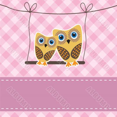 Two cute owls on the tree branch