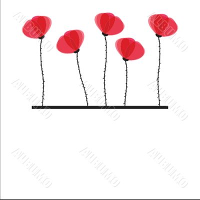 Spring card with beauty poppies.