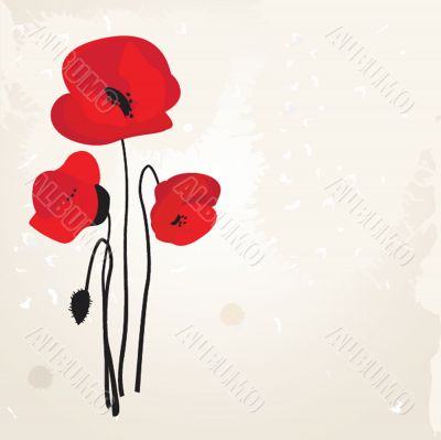 Spring card with beauty poppies.