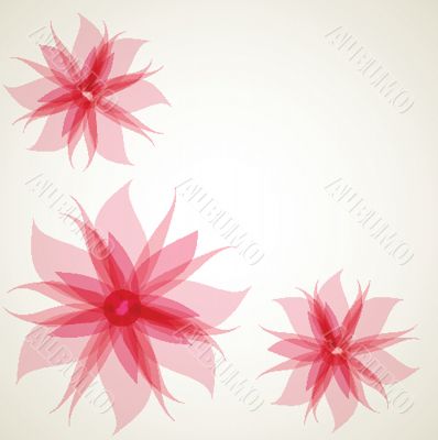 Vintage floral card with handdrawn flowers