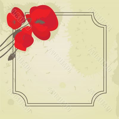 Spring card with beauty poppies.