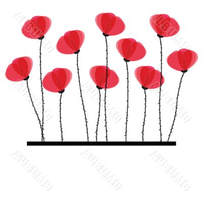 Spring card with beauty poppies.