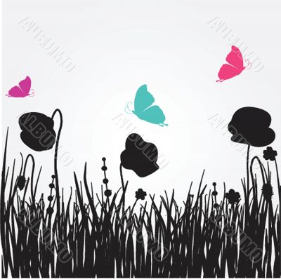 Spring card with beauty poppies.