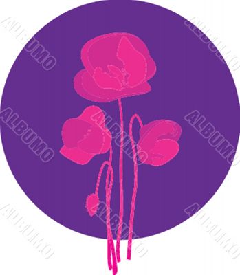 Spring card with beauty poppies.
