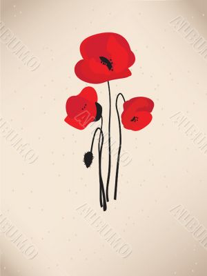 Spring card with beauty poppies.