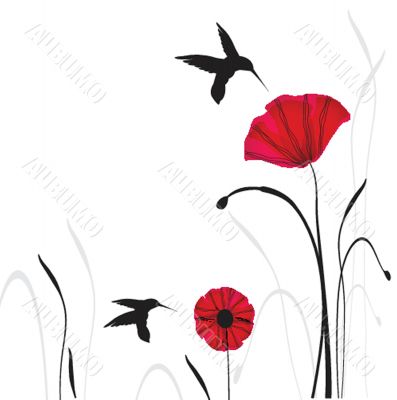 Spring card with beauty poppies.