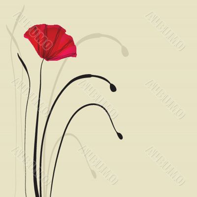 Spring card with beauty poppies.