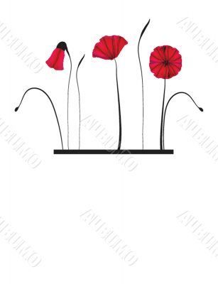 Spring card with beauty poppies.