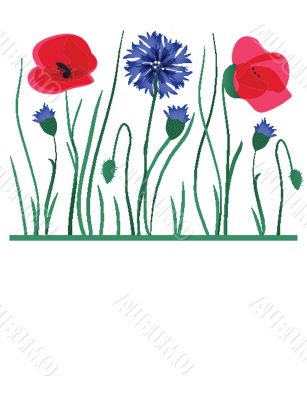 Spring card with beauty poppies.