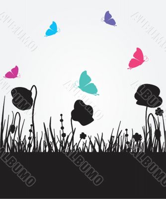 Spring card with beauty poppies.