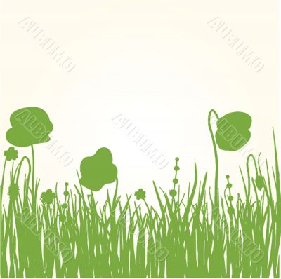 Spring card with beauty poppies.