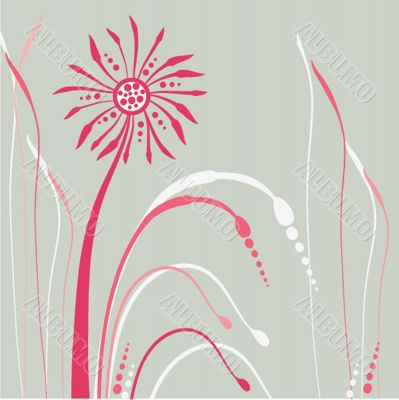 Floral vector background