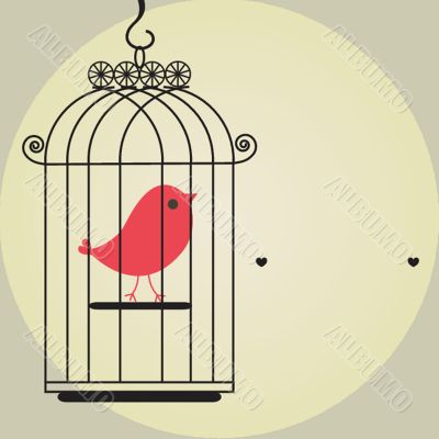 Cute bird in birdcage