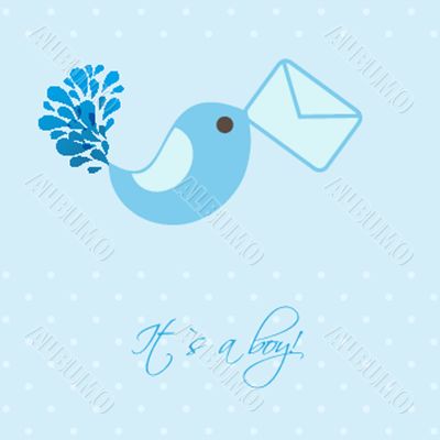 baby boy announcement card. vector illustration